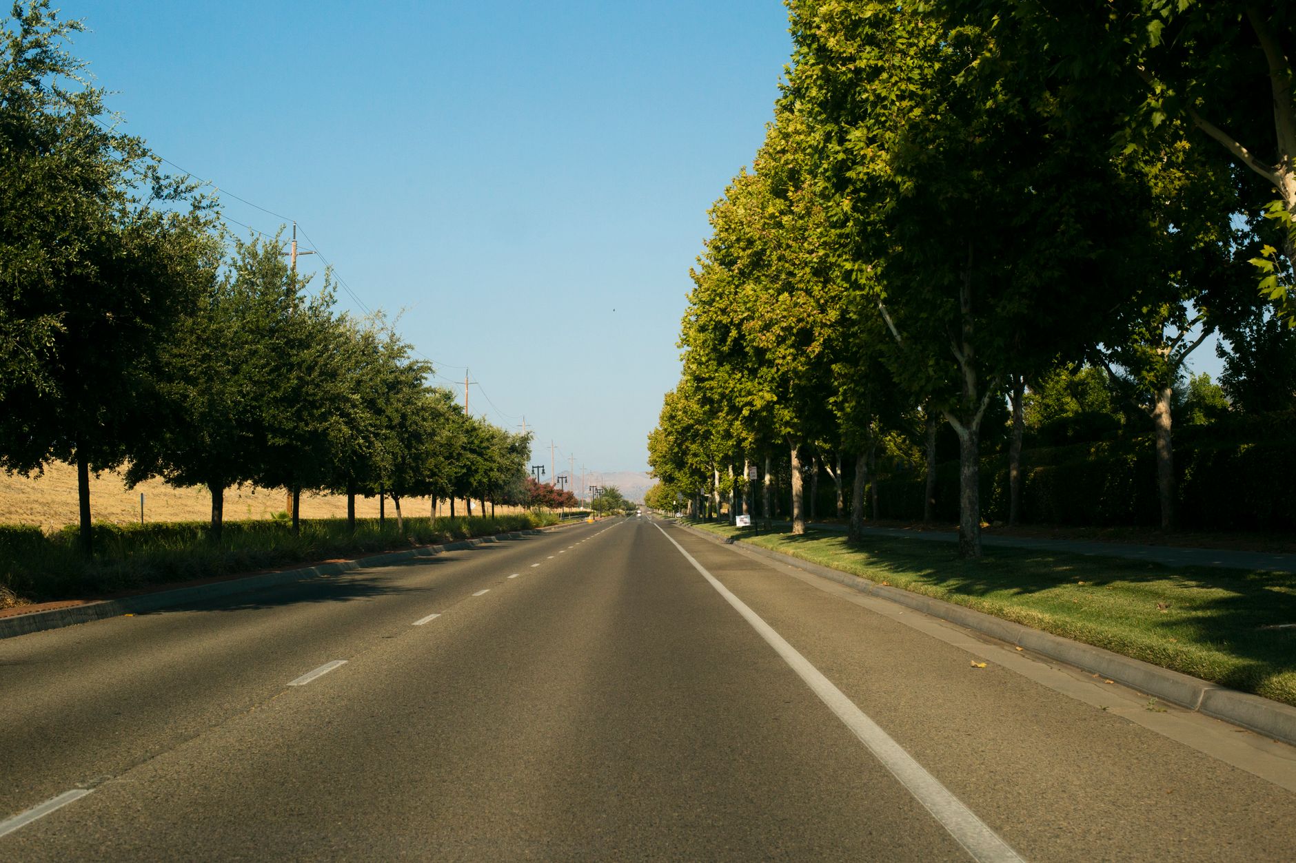 Best Car Accident Lawyer Clovis: Reviews and Settlement Timing