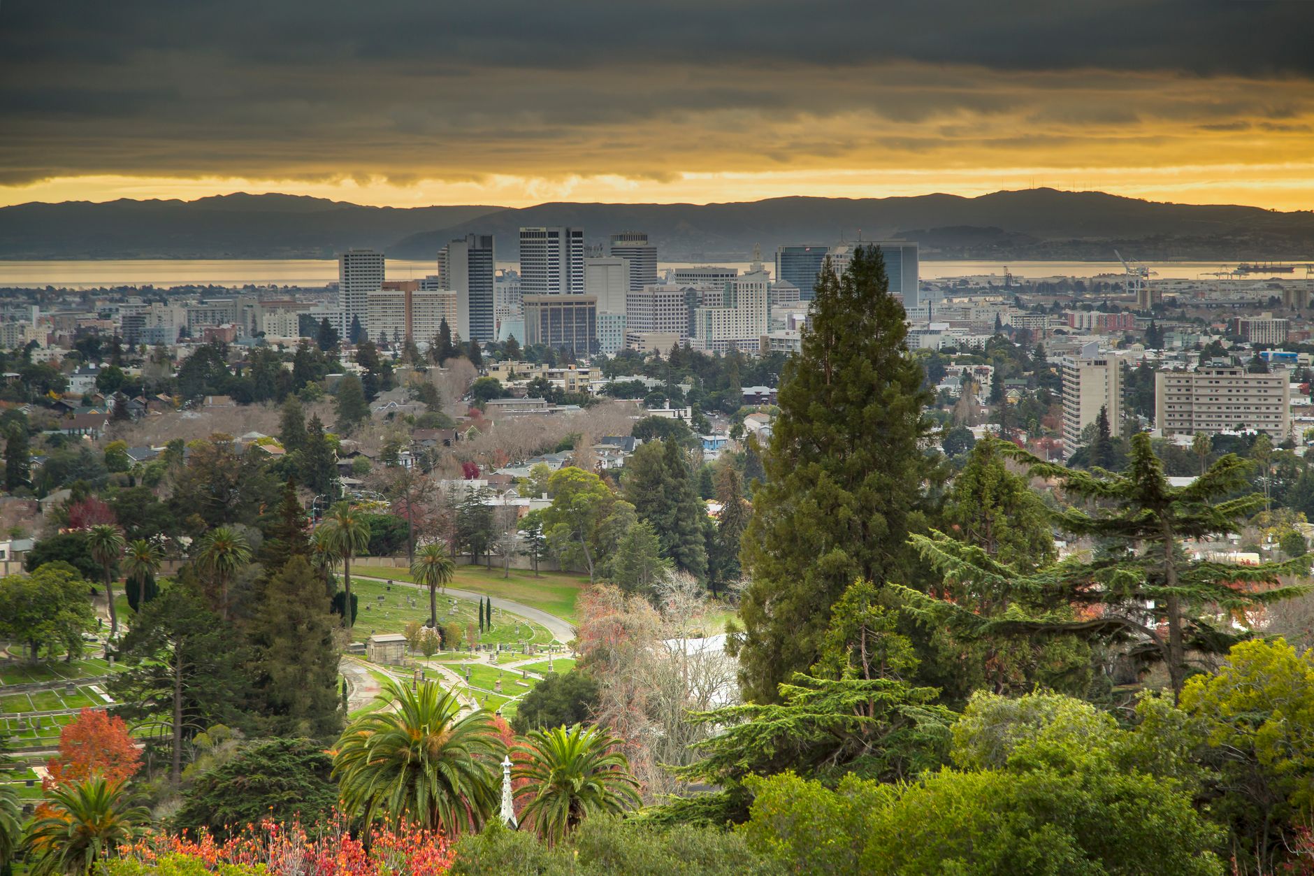 Best Personal Injury Lawyer in Oakland