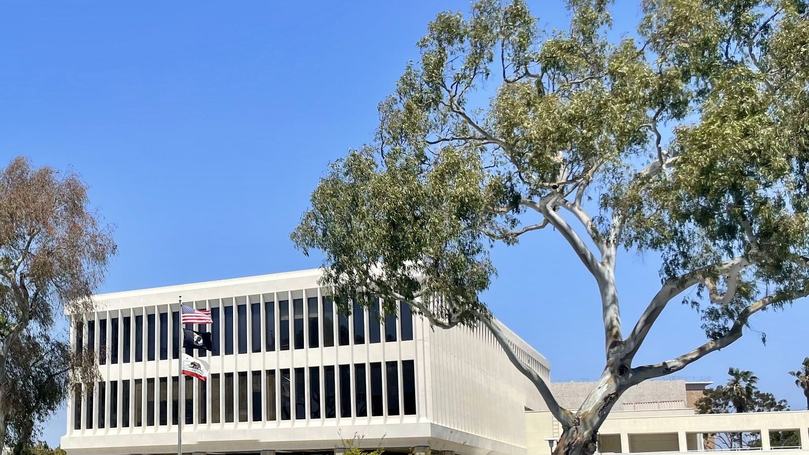 Mejor Abogado de Lesiones Personales en Torrance